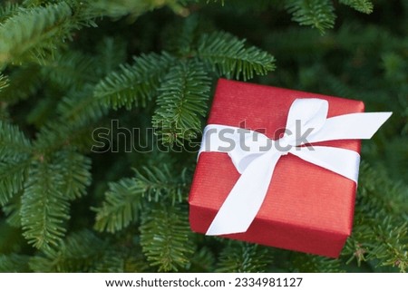 close-up of nicely wrapped gift at christmas tree