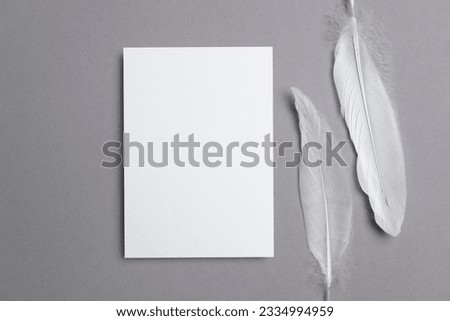 Invitation, greeting or flyer card mockup with white feathers on grey background