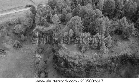Aerial down view of the long-extinct volcano vent surrounded by a small coniferous forest and meadows with cows and horses, high mountain range on a rainy summer day, close, monochrome picture