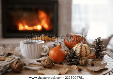 Cozy autumn. Warm cup of tea, pumpkins, autumn leaves, cones, cozy scarf on rustic wooden table on background of fireplace in farmhouse. Comfort fall in rural home. Happy Thanksgiving