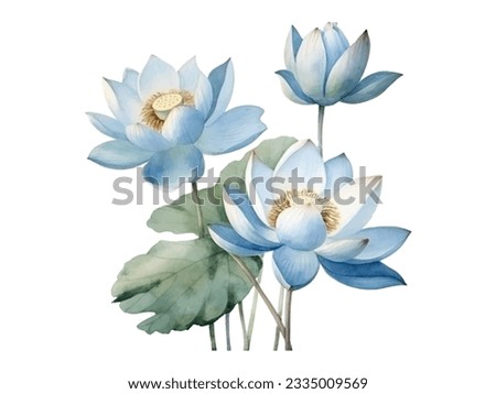 watercolor painting of lotus flowers Royalty-Free Stock Photo #2335009569