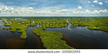 View from above of Florida everglades with green vegetation between ocean water inlets. Natural habitat of many tropical species in wetlands Royalty-Free Stock Photo #2335015593