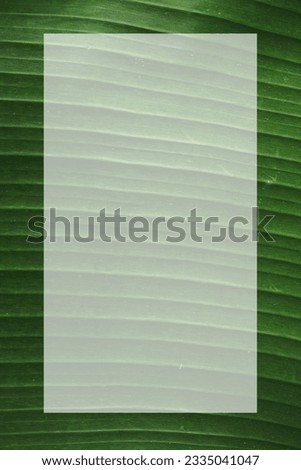 mockup template with banana leaf background. for the menu design of restaurants, cafes and eateries.