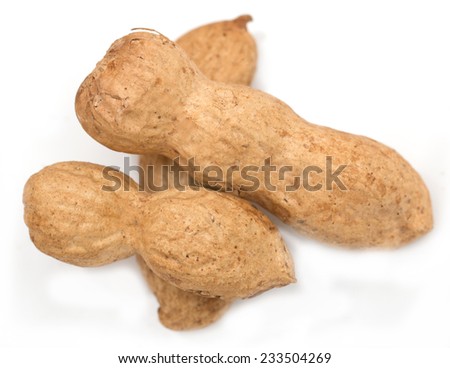 peanut in a peel isolated on white background