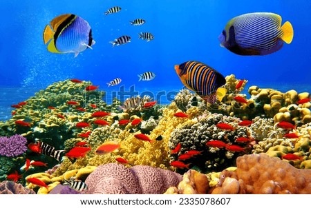 The stunning beauty of the underwater world with colorful fish and various coral reefs