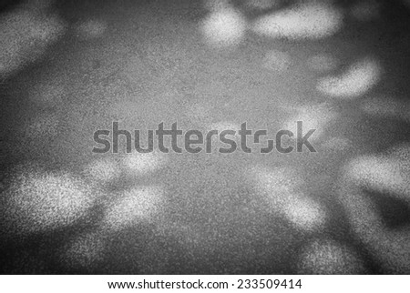 Vintage filtered tree shadow on cement floor, abstract background