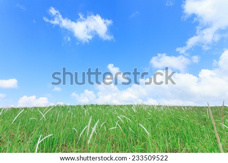 Abstract Seamless texture of Green grass. concept Earth day 2017, paper greeting card, pastel parchment, plain irish old paint wall web winter white artificial grounds putting plastic fake blade top