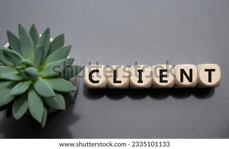 Client symbol. Concept word Client on wooden cubes. Beautiful grey background with succulent plant. Business and Client concept. Copy space.