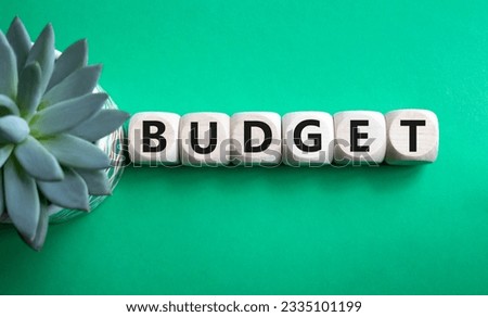 Budget symbol. Concept word Budget on wooden cubes. Beautiful green background with succulent plant. Business and Budget concept. Copy space.