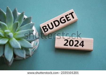 Budget 2024 symbol. Wooden blocks with words Budget 2024. Beautiful grey green background with succulent plant. Business and Budget 2024 concept. Copy space.