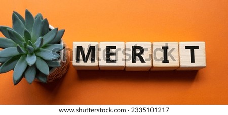 Merit symbol. Concept word Merit on wooden cubes. Beautiful orange background with succulent plant. Business and Merit concept. Copy space.