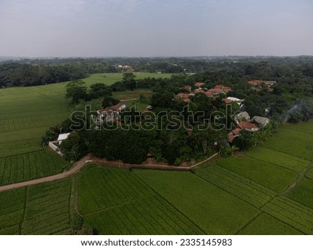 aerial photo village surrounded by green rice fields