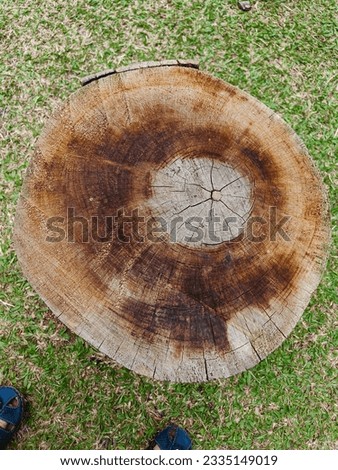 The flat lay view of logs in the garden