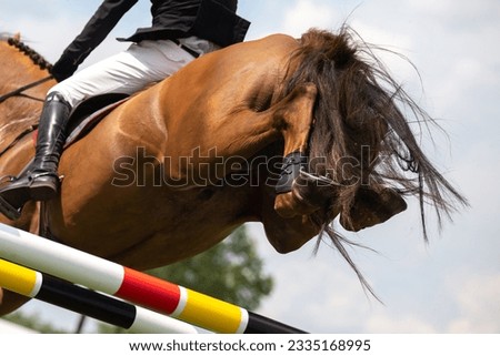 Equestrian Sports, Horse jumping, Show Jumping, Horse Riding themed photograph.