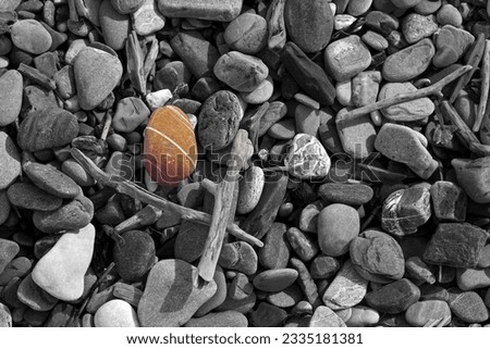 Black and white photo with one large red stone in the shape of an egg, pebble beach, monochrome photo, design, photo for wall decoration, wallpaper, photo for interior painting, stone texture, ovals