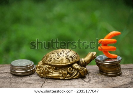 Euro symbol and coins on a green background. There is a turtle figurine next to it. Finance and economics.