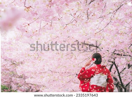 Asian woman wearing kimono with cherry blossoms,sakura in Japan. Royalty-Free Stock Photo #2335197643