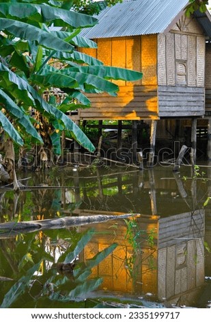 Flowers and tree above, Xe Pian wetlands, French Colonial building; House on stilts; Jungle pool; Xe Pian wetlands, Sunlit window; Don Khon Village, Laos Royalty-Free Stock Photo #2335199717