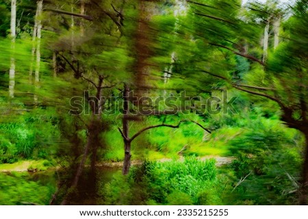 Green Planet, nature, plant, soil, ground and tree, forest, natural light background, shapes, shades, intentional movement