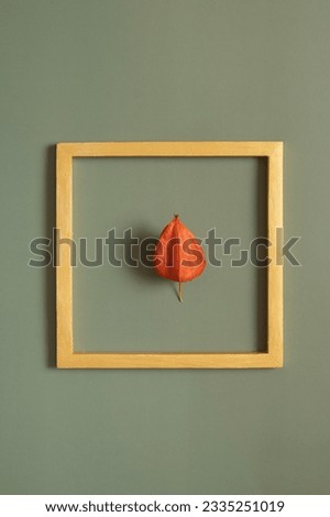 Golden frame with physalis on a green background. Autumn minimalist aesthetic concept.