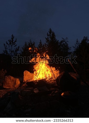 Photo of a fire in one of the forests