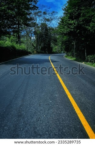 Asphalt road with tropical forest in puncak Bogor, Indonesia