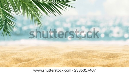 Beautiful sandy beach with blur sky and tree summer