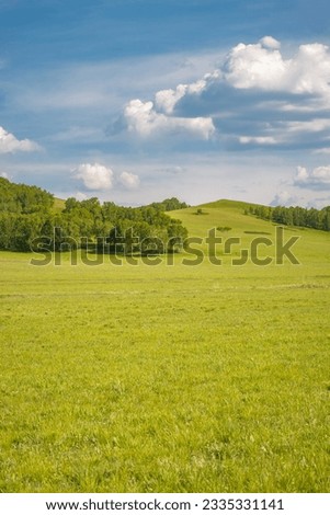 Grassland scenery in Inner Mongolia, China Royalty-Free Stock Photo #2335331141