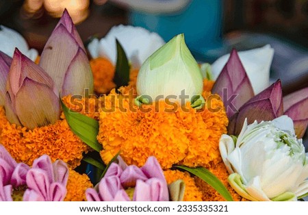  Lotus flowers and marigolds tied together for offering to monks in Buddhist temples in Thailand.