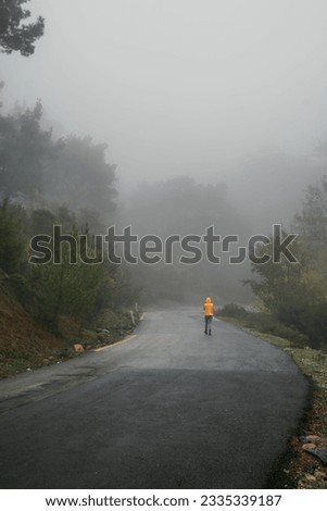 various photos taken in the foggy forest