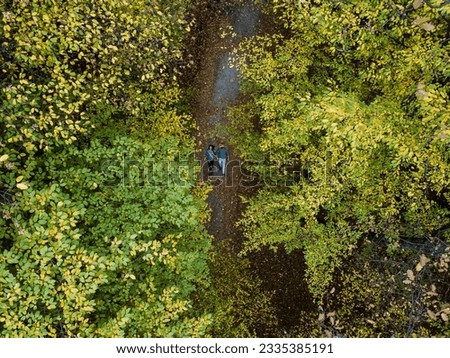 Beautiful drone photo of couple in the autumn colored forest, from above.