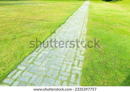 Beautiful Walkway pathway in garden with green meadows,Scenic panoramic view on a beautiful sunny day,park picture concept.