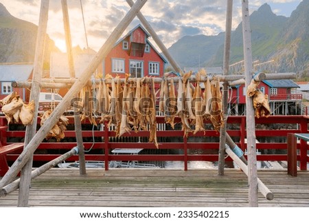 Fisherman village, Lofoten islands in Summer time, Norway Royalty-Free Stock Photo #2335402215