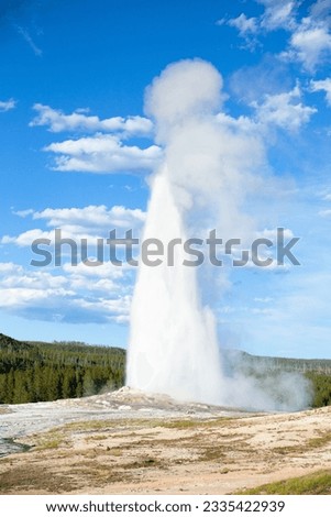 the old faithful geyser erupting in Yellowstone National Park Royalty-Free Stock Photo #2335422939