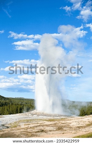 the old faithful geyser erupting in Yellowstone National Park Royalty-Free Stock Photo #2335422959