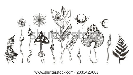 Set of hand painted mystic black and white vector flowers and leaves, fern, mushrooms, toadstool, amanita, crescent moon and stars silhouettes. Magical botanical floral designs Royalty-Free Stock Photo #2335429009