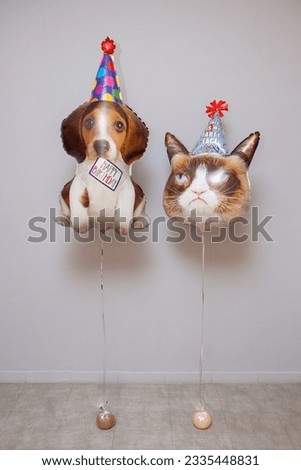 balloon cat in a hat and a dog in a hat