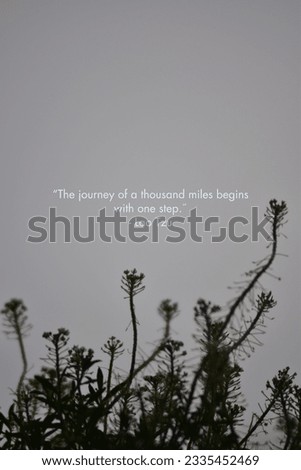 The journey of a thousand miles begins with one step. - Lao Tzu