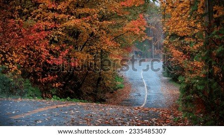 Scenic drive through misty autumn forest in Quebec Province, Canada. Royalty-Free Stock Photo #2335485307
