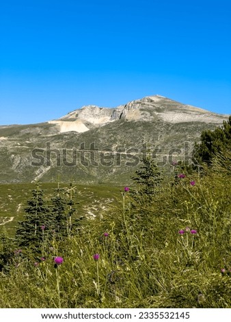 meadows in the foreground, Uludag in Bursa in the background , Uludag fully revealed with its melted snow , blue sky. High quality photo