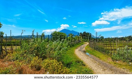 
beautiful scenery on a sunny day, the sky and clouds really support the beauty and perfection of the photo full concept and composition photography