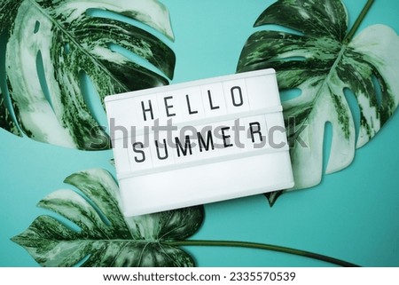 Hello Summer word in lightbox with Monstera Leaves on blue background