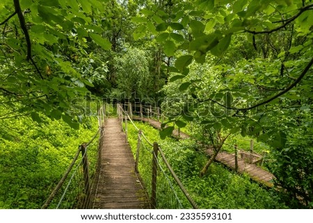 Mountain wooden path in the Borce commune of the French Pyrenees