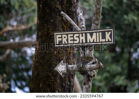 Directions Fresh Milk mounted on a tree trunk
