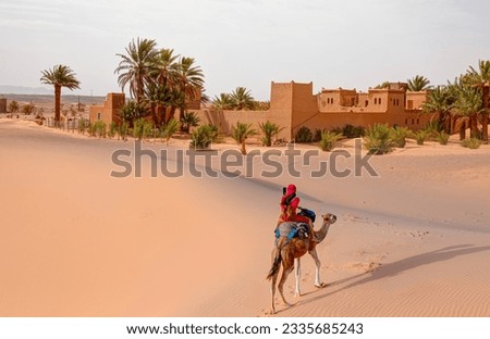 A woman in a red turban riding a camel across the thin sand dunes of the in Western Sahara Desert - General view of the Merzouga hotels district - Morocco, Africa Royalty-Free Stock Photo #2335685243
