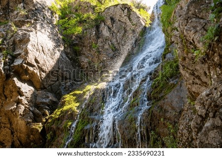 beautiful waterfall on a rock in the forest