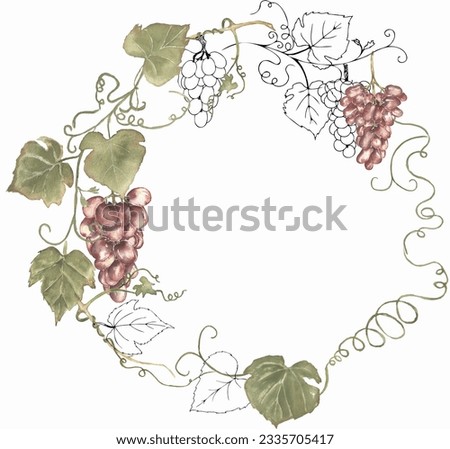 Red grapes wreath clipart, harvest clip art. Watercolor hand painted grapes frame. Italian vinery concept design. French wine border illustration. Autumn fruits harvest clipart.