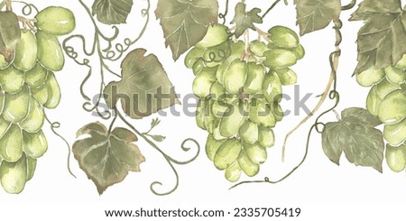 Green grapes seamless border illustration, harvest clip art. Watercolor hand painted grapes repeat frame. Italian vinery concept design. French wine seamless pattern. Autumn fruits harvest clipart.