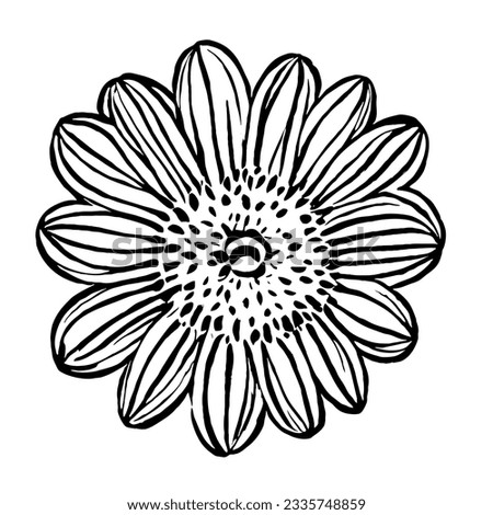 Flower Vector in Minimal Line Art Drawing 