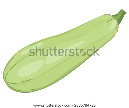 Vector zucchini whole. Squash isolated on white background. Fresh light green vegetable marrow. Oblong, green squash.Harvest courgette organic ingredient. Royalty-Free Stock Photo #2335784725